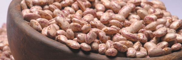 Cranberry Beans