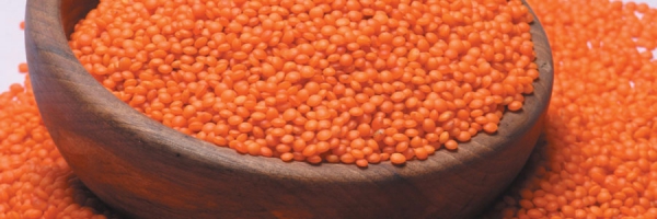 Lentils