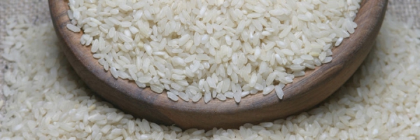 Rice